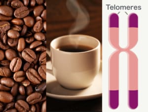 coffeetelomere-%e3%81%ae%e3%82%b3%e3%83%94%e3%83%bc